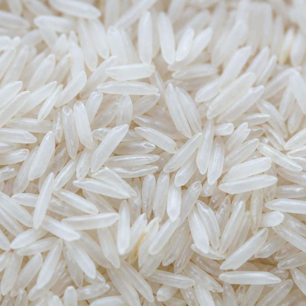 Rice
